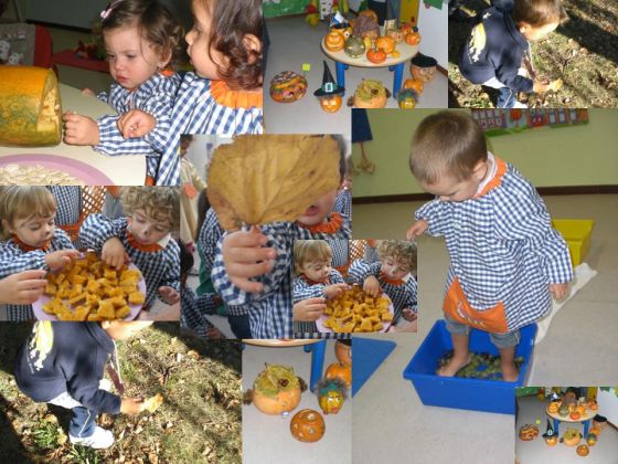 DISFRUTANDO DEL OTOÑO EN LA ESCUELA DE PONTEDEUME