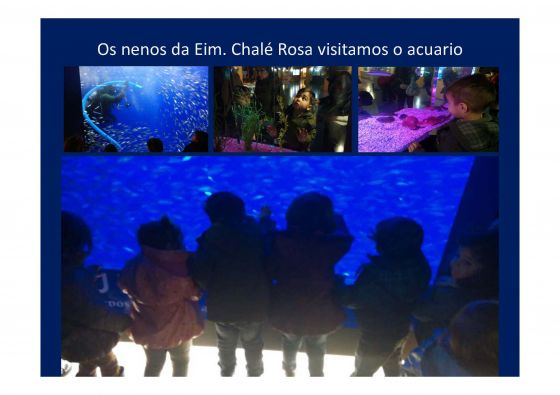 Los pequeños/as de la escuela infantil de Pontedeume visitaron el acuario de A Coruña